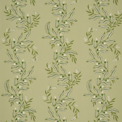 SCHUMACHER  LAURA GONZALEZ VAGARY VINES   HONEYDEW   - 5016970