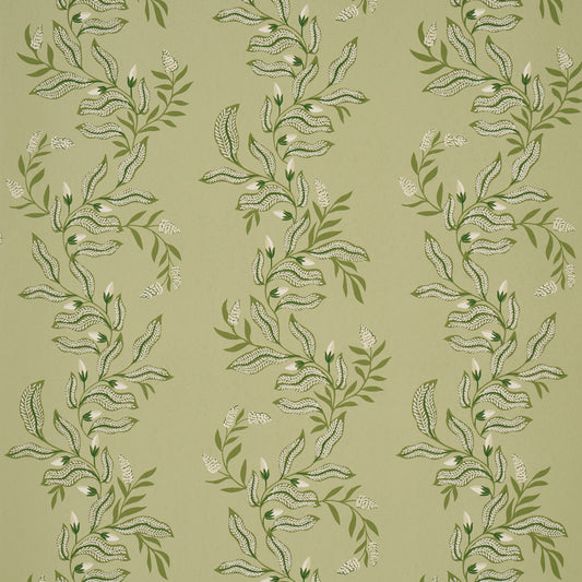 SCHUMACHER  LAURA GONZALEZ VAGARY VINES   HONEYDEW   - 5016970