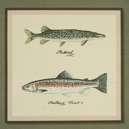 SCHUMACHER  A COUNTRY LIFE JAMIE'S TROPHIES SISAL   FOREST GREEN   - 5017000