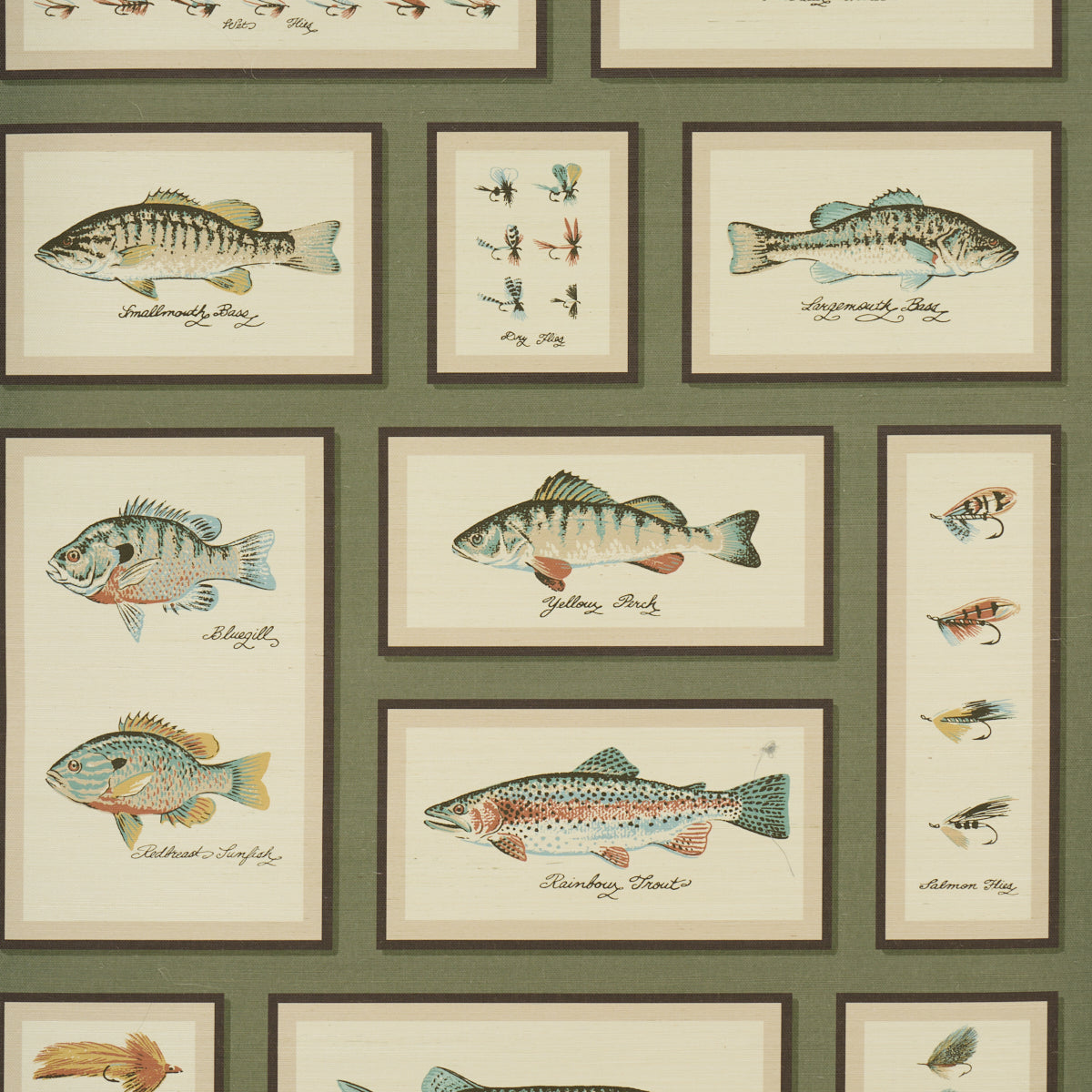 SCHUMACHER  A COUNTRY LIFE JAMIE'S TROPHIES SISAL   FOREST GREEN   - 5017000