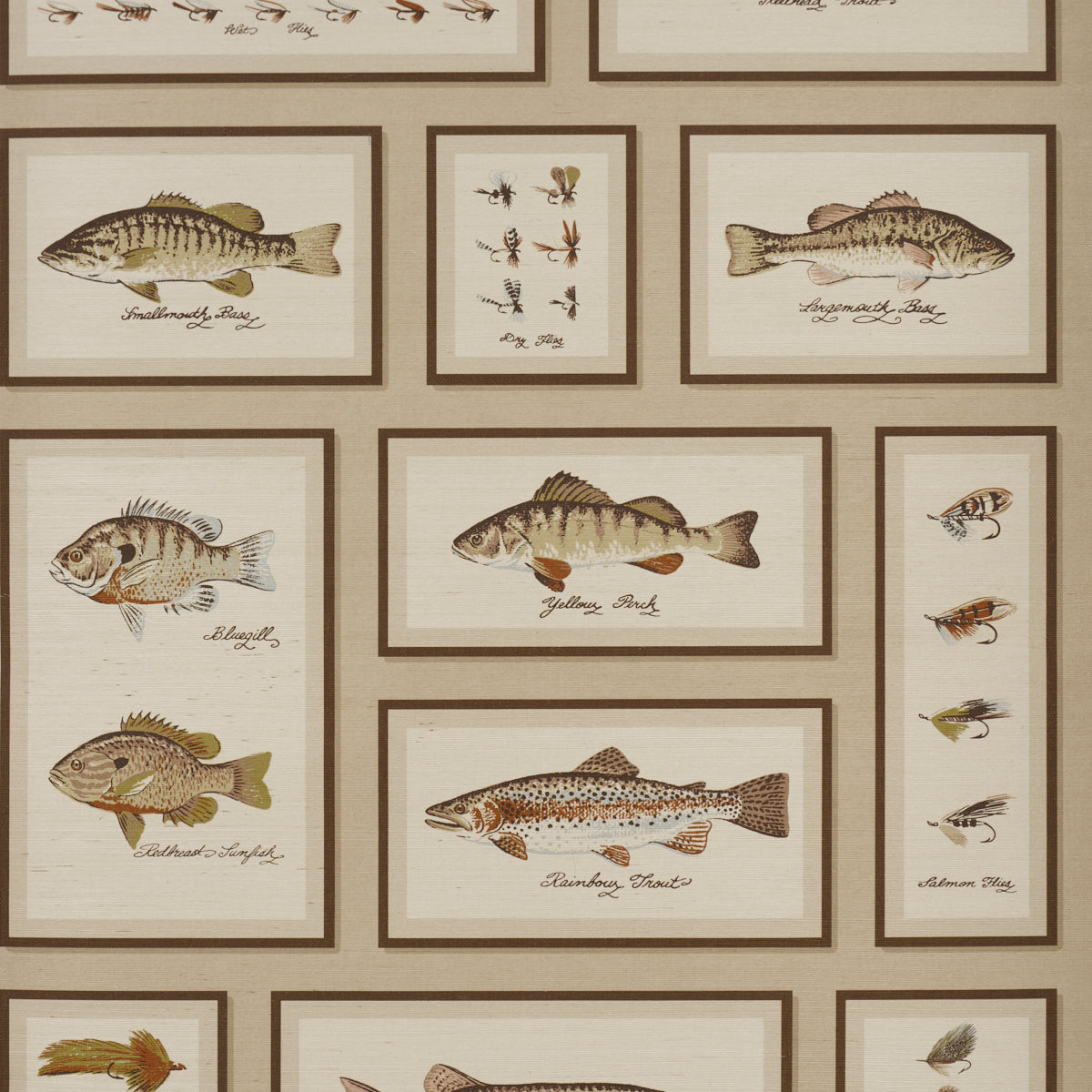Vintage fish print collage with brown-framed illustrations of different fish on a beige background.