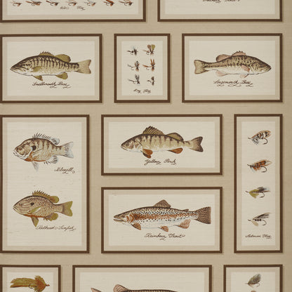 Vintage fish print collage with brown-framed illustrations of different fish on a beige background.