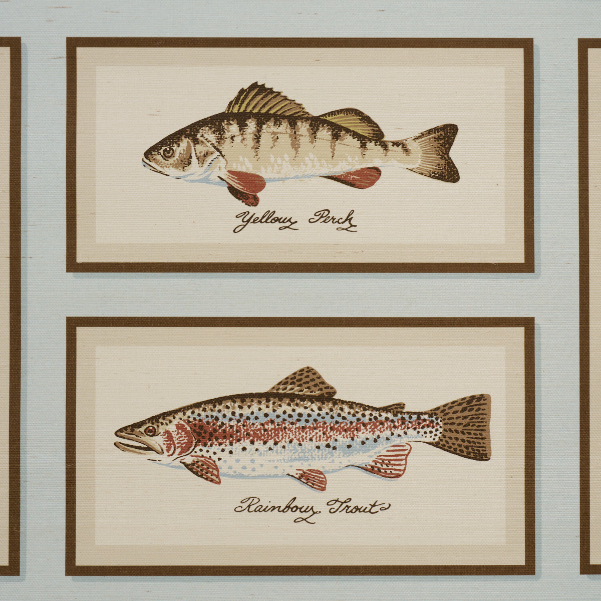 SCHUMACHER  A COUNTRY LIFE JAMIE'S TROPHIES SISAL   SKY   - 5017002