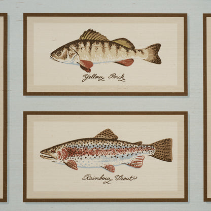 SCHUMACHER  A COUNTRY LIFE JAMIE'S TROPHIES SISAL   SKY   - 5017002