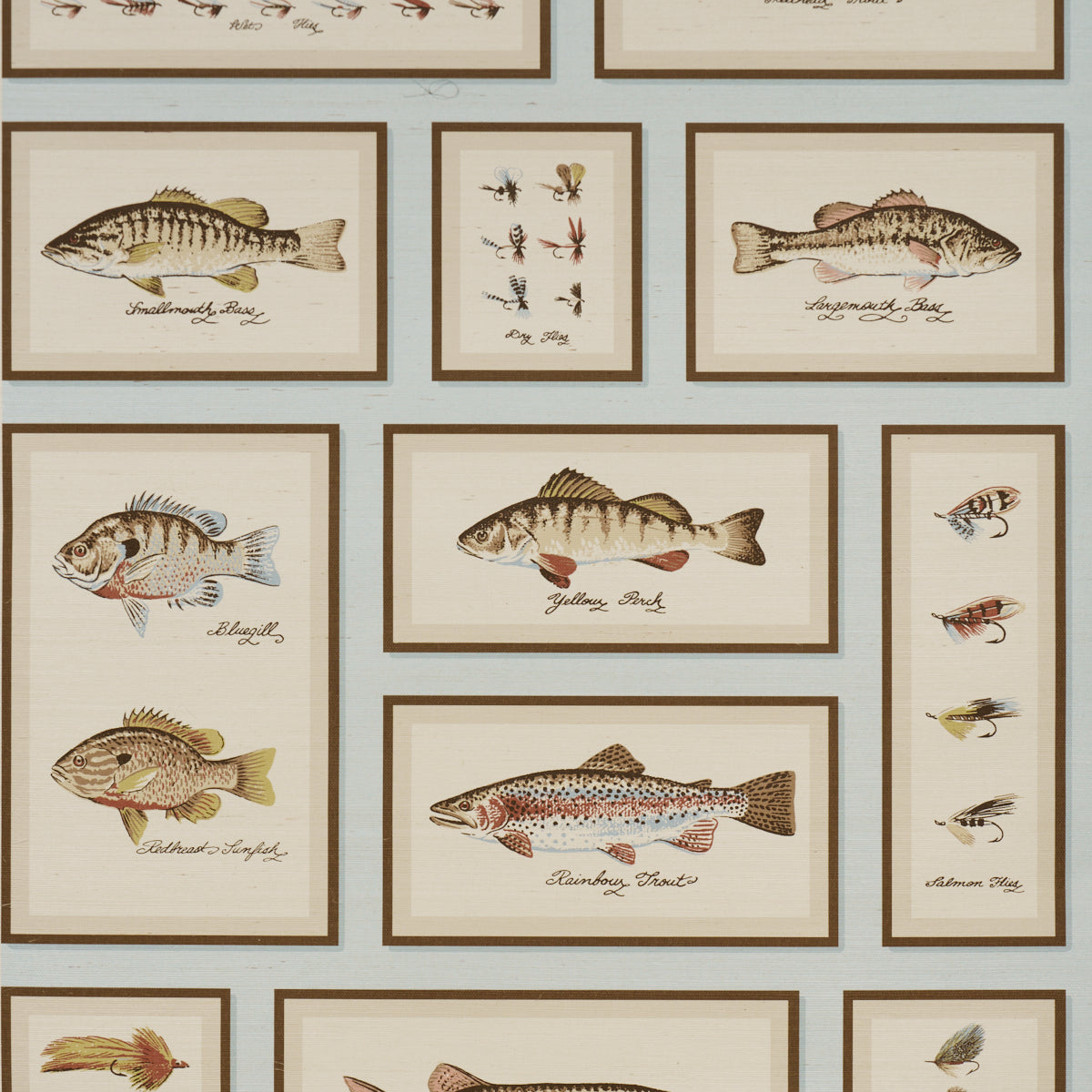 SCHUMACHER  A COUNTRY LIFE JAMIE'S TROPHIES SISAL   SKY   - 5017002