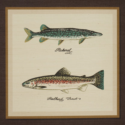 SCHUMACHER  A COUNTRY LIFE JAMIE'S TROPHIES SISAL   CHARCOAL   - 5017003