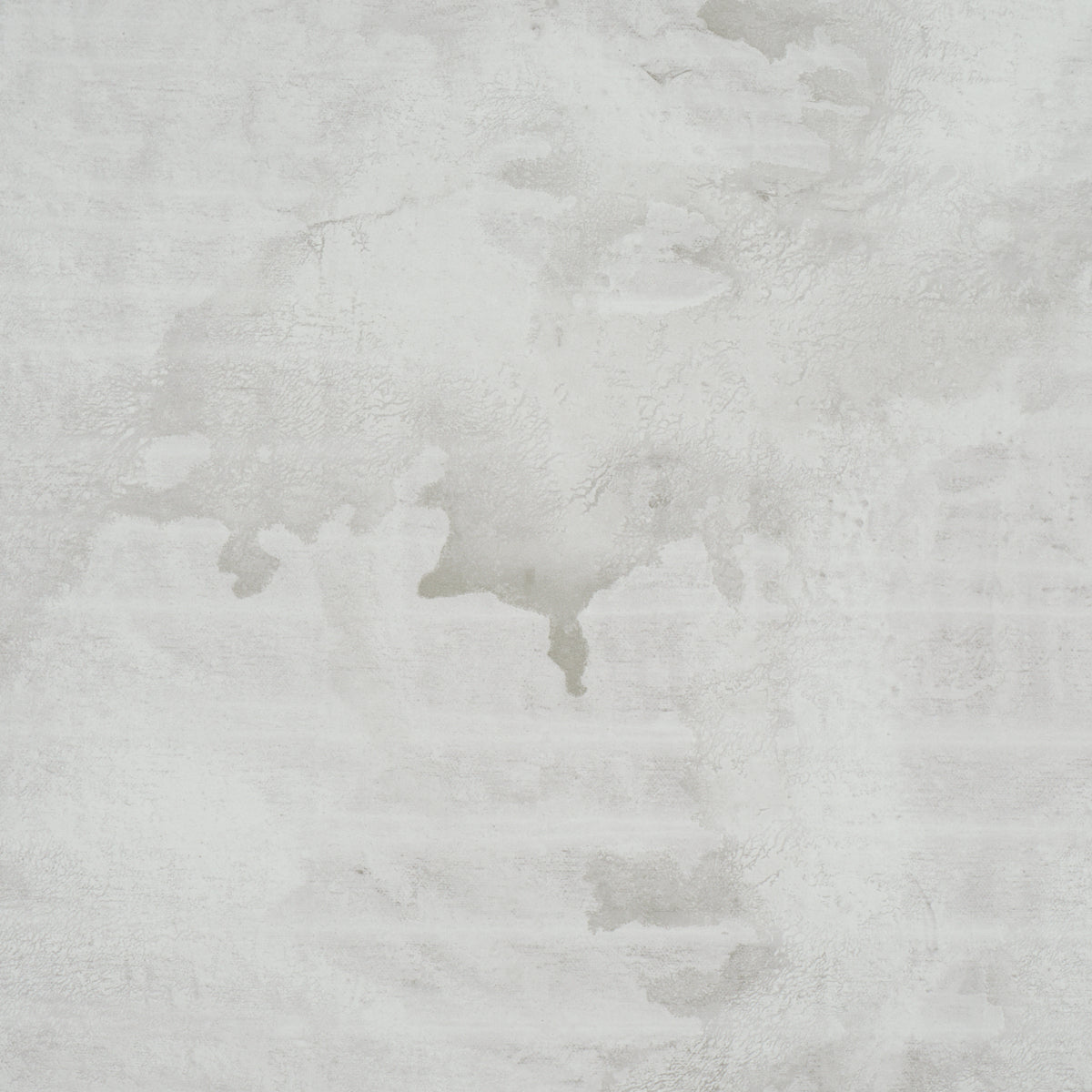 SCHUMACHER  COLETTE COSENTINO VALIANT   DOVE   - 5017152