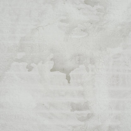 SCHUMACHER  COLETTE COSENTINO VALIANT   DOVE   - 5017152