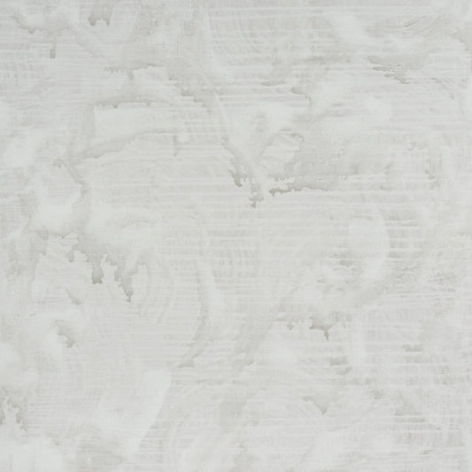 SCHUMACHER  COLETTE COSENTINO VALIANT   DOVE   - 5017152