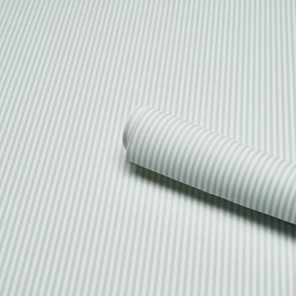 SCHUMACHER  PERENNIAL FAVORITES EMMA STRIPE NARROW   SKY   - 5017190