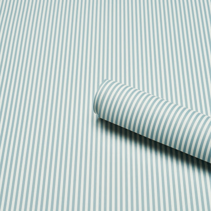 SCHUMACHER  PERENNIAL FAVORITES EMMA STRIPE NARROW   CHAMBRAY   - 5017191