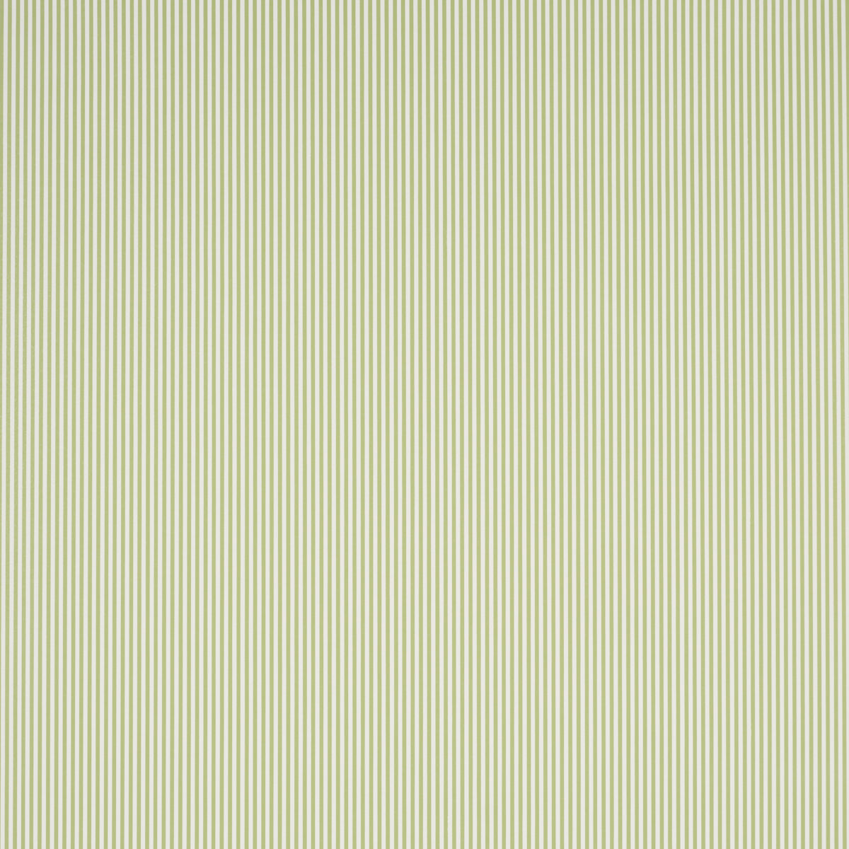 SCHUMACHER  PERENNIAL FAVORITES EMMA STRIPE NARROW   LEAF   - 5017193