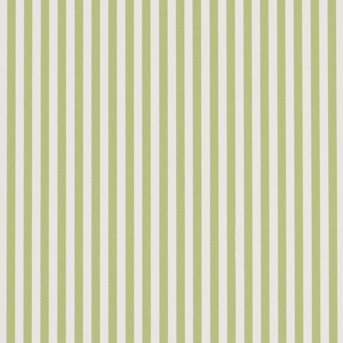 SCHUMACHER  PERENNIAL FAVORITES EMMA STRIPE NARROW   LEAF   - 5017193