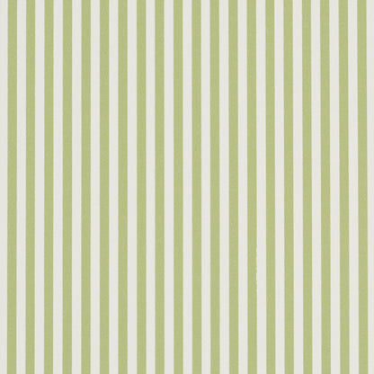 SCHUMACHER  PERENNIAL FAVORITES EMMA STRIPE NARROW   LEAF   - 5017193
