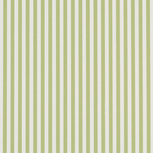 SCHUMACHER  PERENNIAL FAVORITES EMMA STRIPE NARROW   LEAF   - 5017193