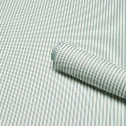 SCHUMACHER  PERENNIAL FAVORITES EMMA STRIPE NARROW   AQUA   - 5017194