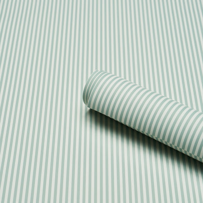 SCHUMACHER  PERENNIAL FAVORITES EMMA STRIPE NARROW   TEAL   - 5017195