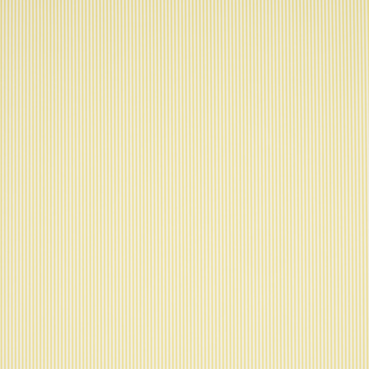 SCHUMACHER  PERENNIAL FAVORITES EMMA STRIPE NARROW   YELLOW   - 5017196