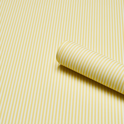 SCHUMACHER  PERENNIAL FAVORITES EMMA STRIPE NARROW   YELLOW   - 5017196