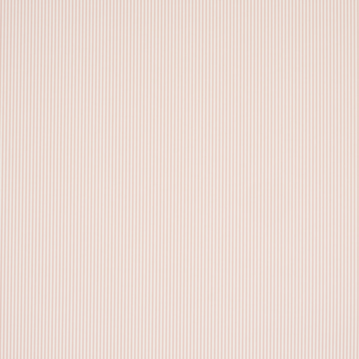SCHUMACHER  PERENNIAL FAVORITES EMMA STRIPE NARROW   BLUSH   - 5017199