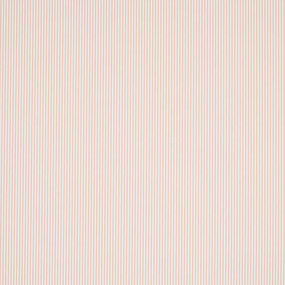 SCHUMACHER  PERENNIAL FAVORITES EMMA STRIPE NARROW   BLUSH   - 5017199