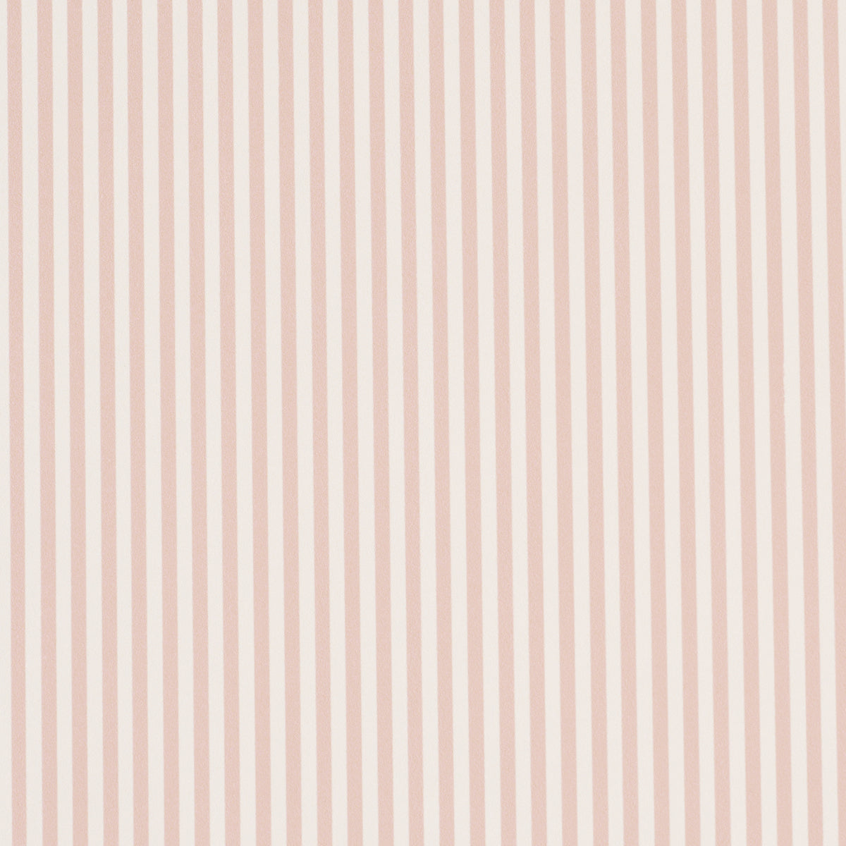 SCHUMACHER  PERENNIAL FAVORITES EMMA STRIPE NARROW   BLUSH   - 5017199