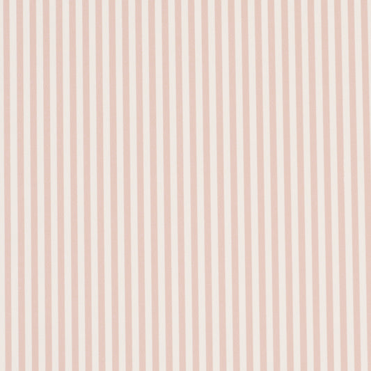 SCHUMACHER  PERENNIAL FAVORITES EMMA STRIPE NARROW   BLUSH   - 5017199