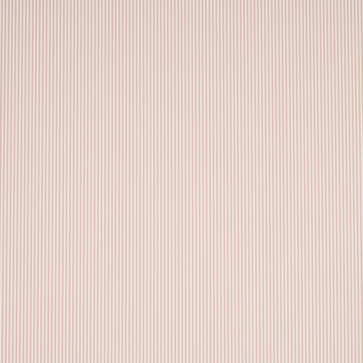 SCHUMACHER  PERENNIAL FAVORITES EMMA STRIPE NARROW   ROSE   - 5017200