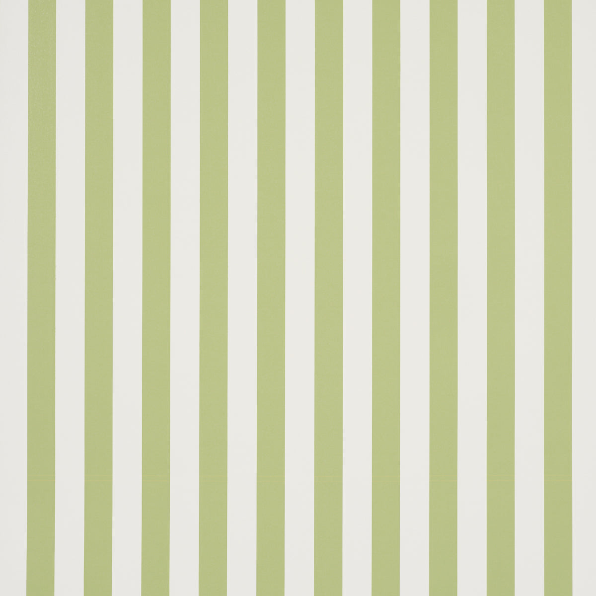 SCHUMACHER  PERENNIAL FAVORITES EMMA STRIPE   LEAF   - 5017215