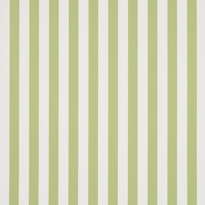 SCHUMACHER  PERENNIAL FAVORITES EMMA STRIPE   LEAF   - 5017215