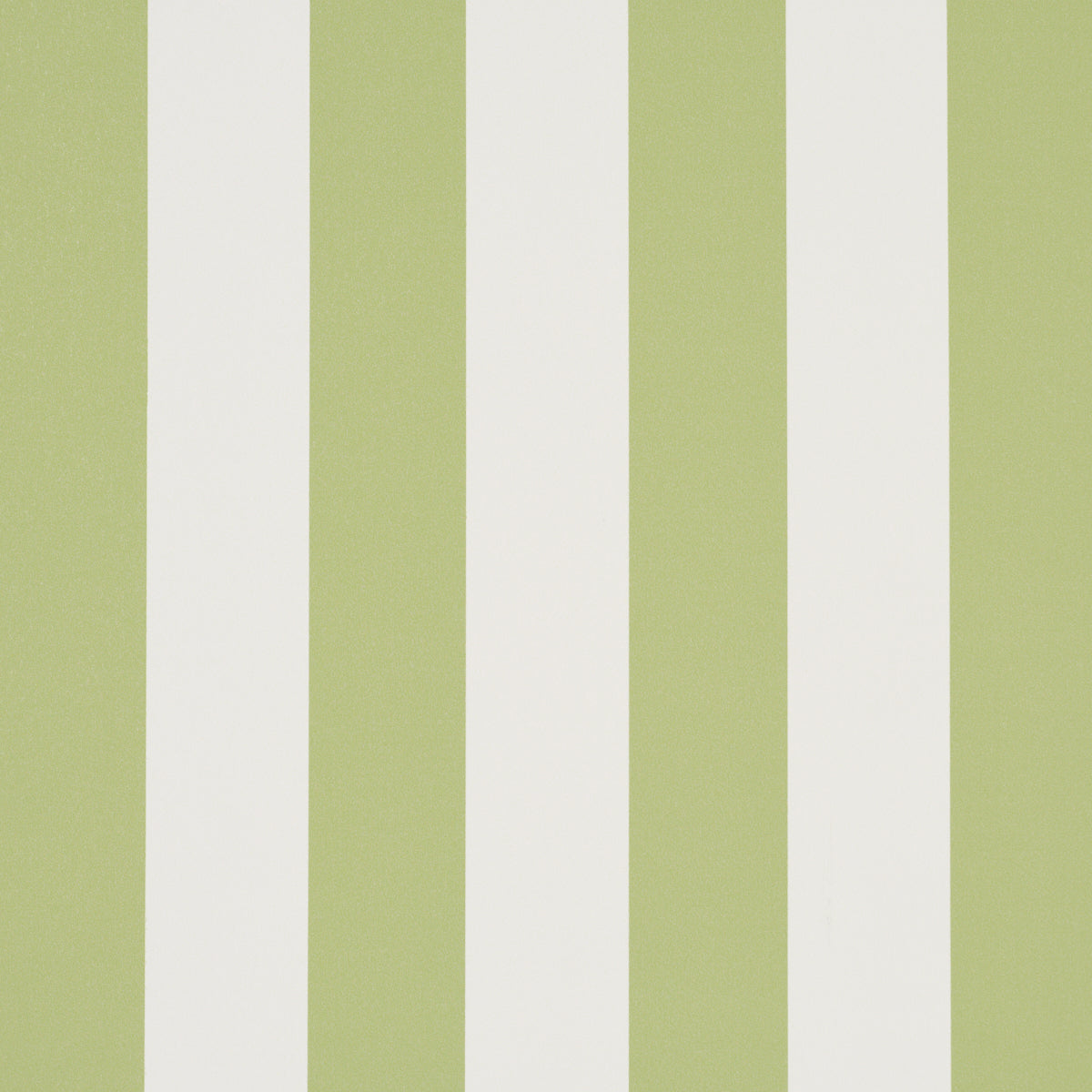 SCHUMACHER  PERENNIAL FAVORITES EMMA STRIPE   LEAF   - 5017215
