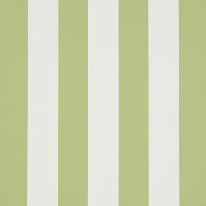 SCHUMACHER  PERENNIAL FAVORITES EMMA STRIPE   LEAF   - 5017215