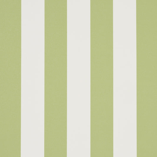 SCHUMACHER  PERENNIAL FAVORITES EMMA STRIPE   LEAF   - 5017215