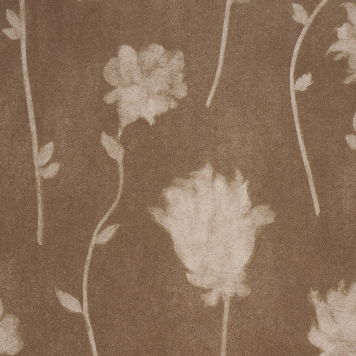 SCHUMACHER  BACKDROP BEFORE MIDNIGHT   CHOCOLATE   - 5017361