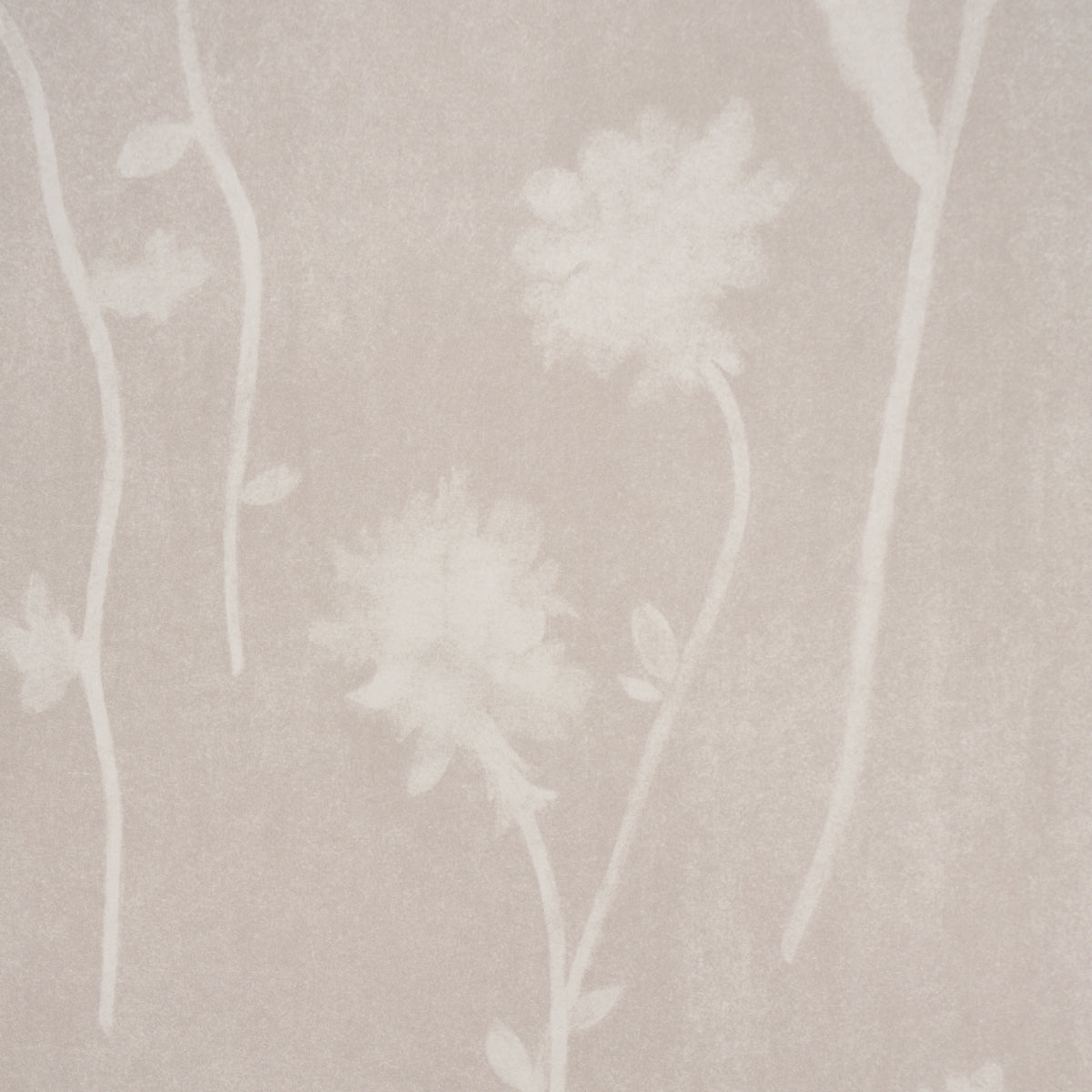 SCHUMACHER  BACKDROP BEFORE MIDNIGHT   LIGHT BEIGE   - 5017362