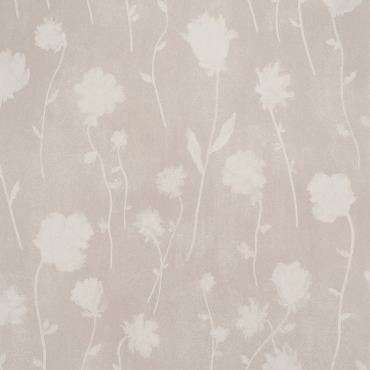 SCHUMACHER  BACKDROP BEFORE MIDNIGHT   LIGHT BEIGE   - 5017362
