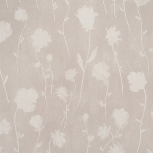 SCHUMACHER  BACKDROP BEFORE MIDNIGHT   LIGHT BEIGE   - 5017362