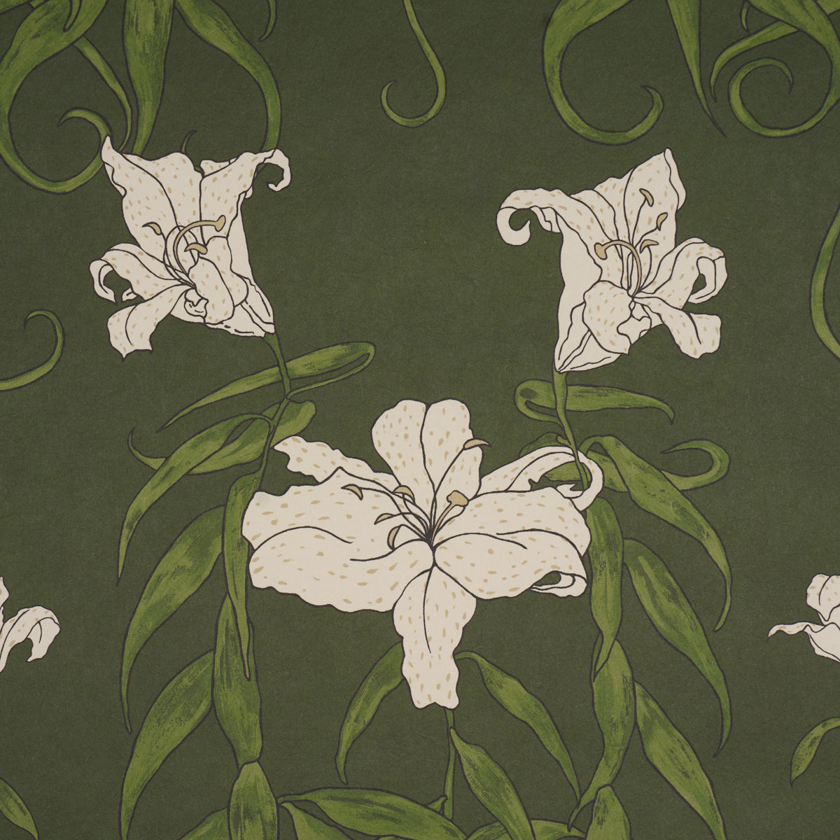 SCHUMACHER  BACKDROP LADY LILITH   OLIVE   - 5017380
