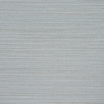 Soft gray vinyl with a fine abaca weave and subtle horizontal ribs; versatile for upholstery, drapes, or cushions.