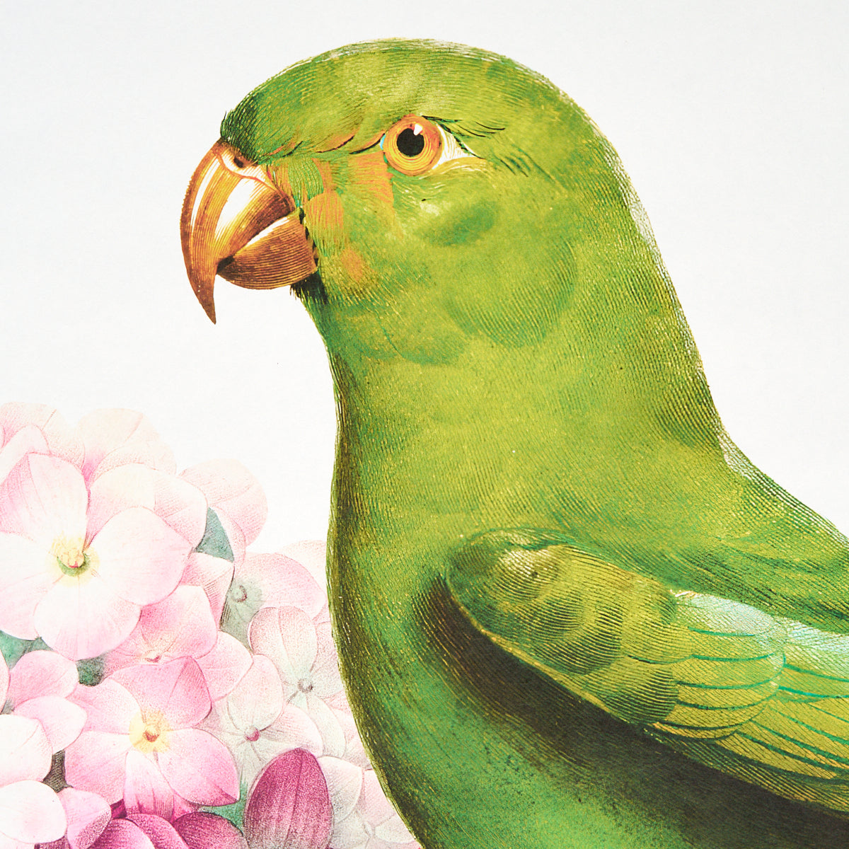 SCHUMACHER  KATIE LYDON FLORES PARADISI 4 PANEL SET   ROSE , PEONY   - 5017560