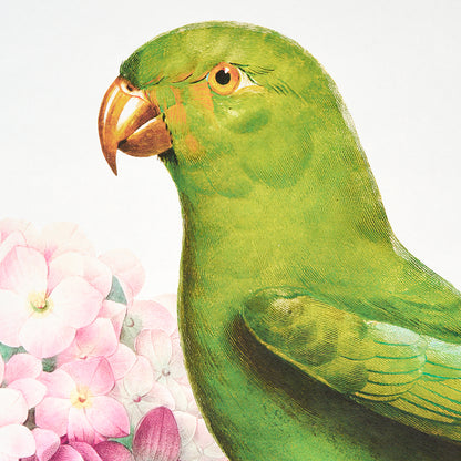 SCHUMACHER  KATIE LYDON FLORES PARADISI 4 PANEL SET   ROSE , PEONY   - 5017560