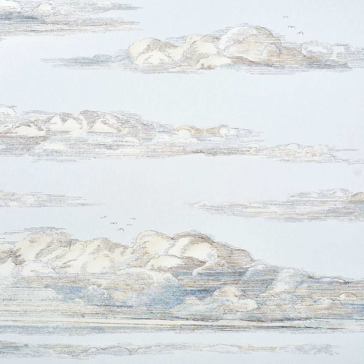 SCHUMACHER  JOHNSON HARTIG MR. DARCY'S CLOUDS   SKY   - 5017581