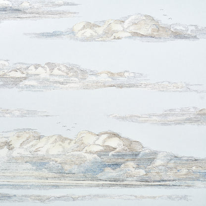 SCHUMACHER  JOHNSON HARTIG MR. DARCY'S CLOUDS   SKY   - 5017581