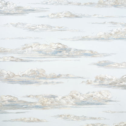 SCHUMACHER  JOHNSON HARTIG MR. DARCY'S CLOUDS   SKY   - 5017581