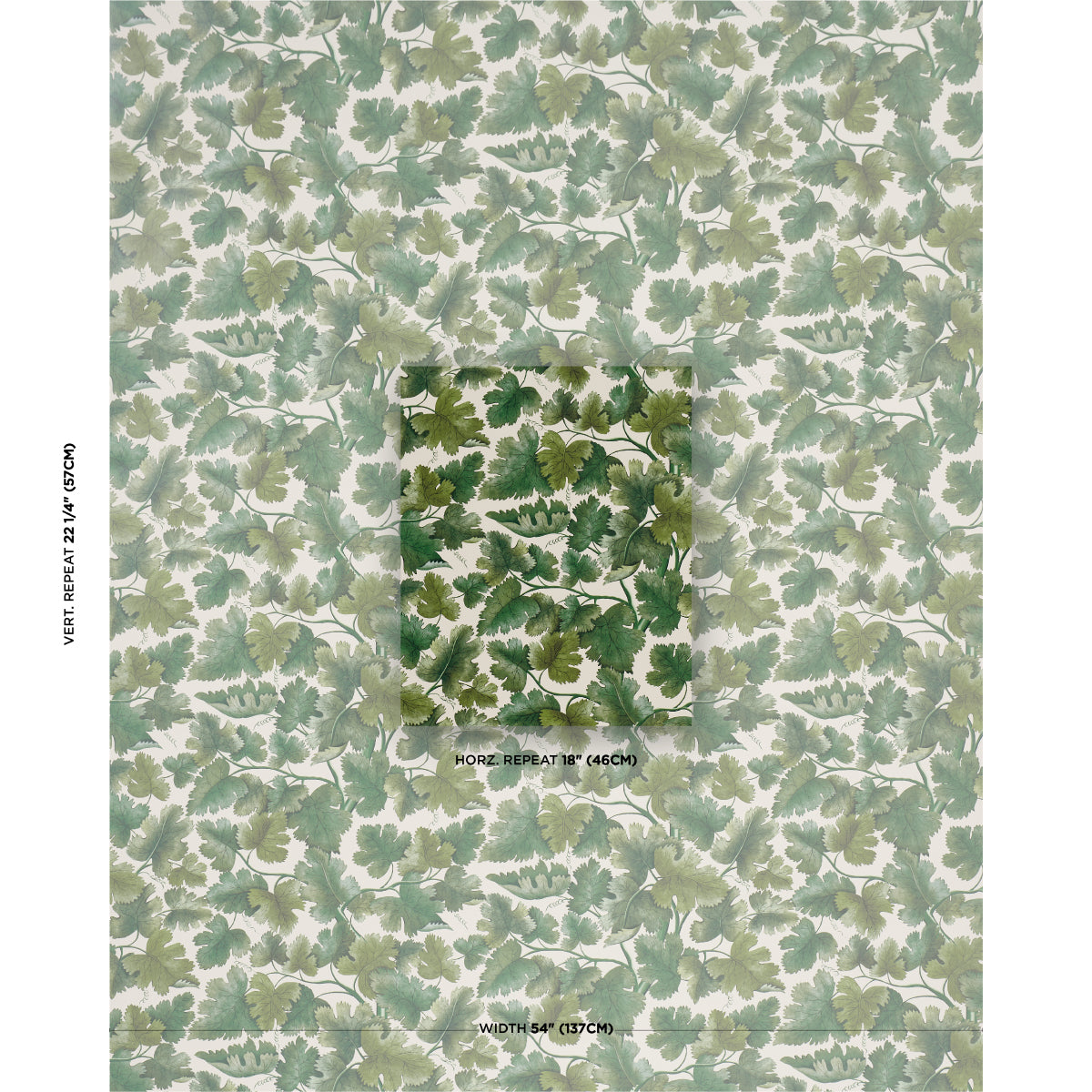 SCHUMACHER  A COUNTRY LIFE EDINBURGH VINE   Moss   - 5017730