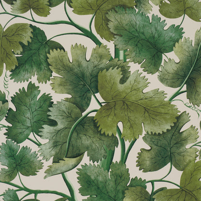 SCHUMACHER  A COUNTRY LIFE EDINBURGH VINE   Moss   - 5017730