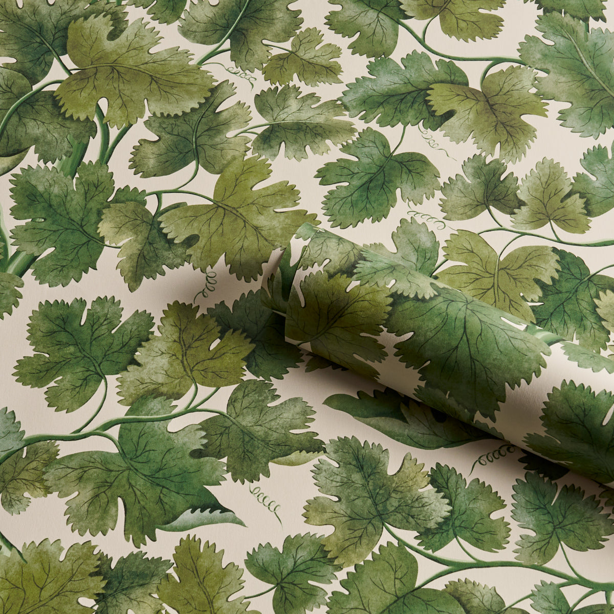 SCHUMACHER  A COUNTRY LIFE EDINBURGH VINE   Moss   - 5017730