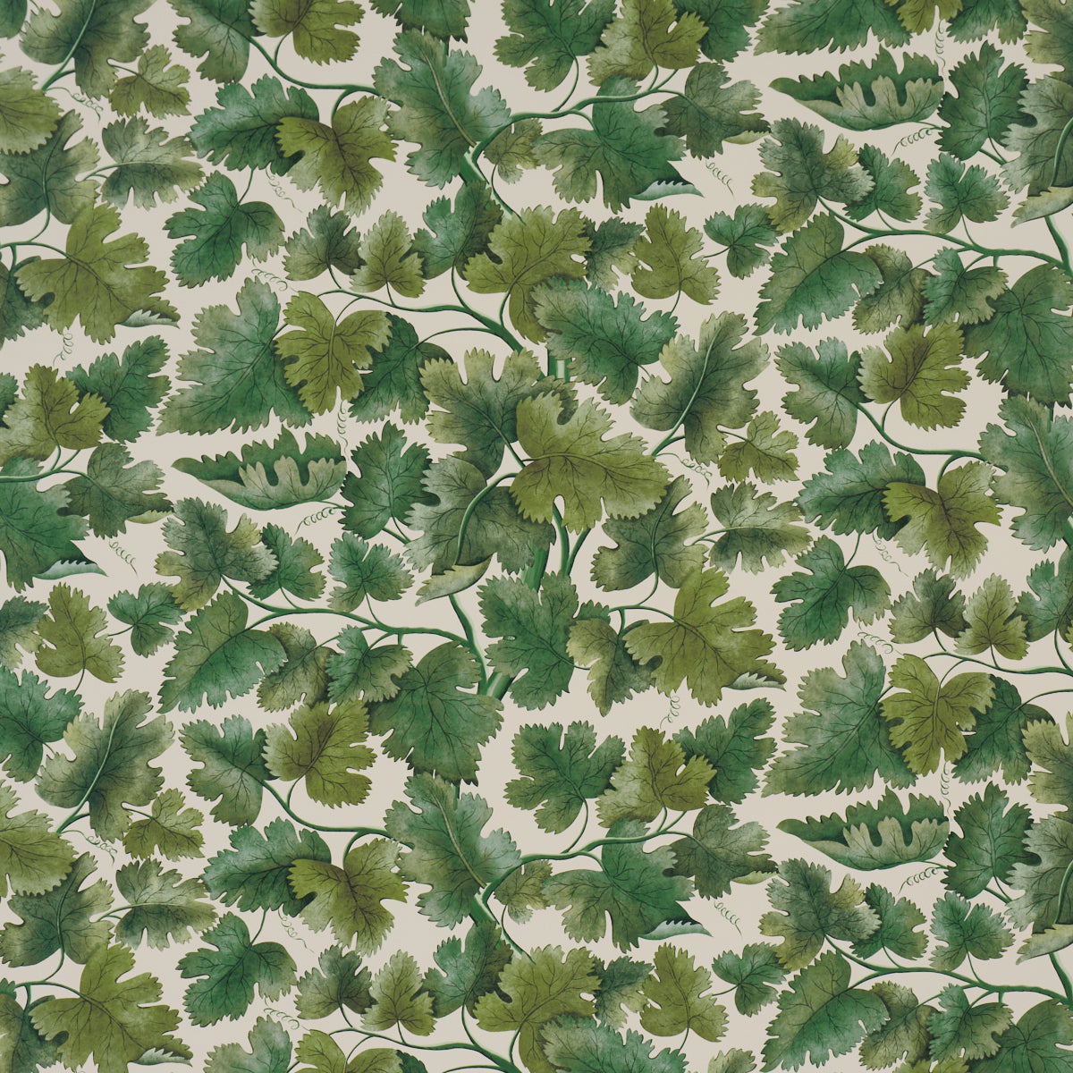 SCHUMACHER  A COUNTRY LIFE EDINBURGH VINE   Moss   - 5017730