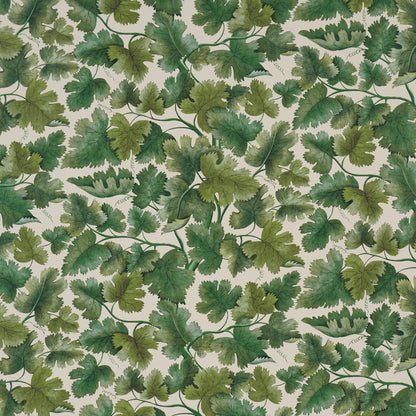 SCHUMACHER  A COUNTRY LIFE EDINBURGH VINE   Moss   - 5017730