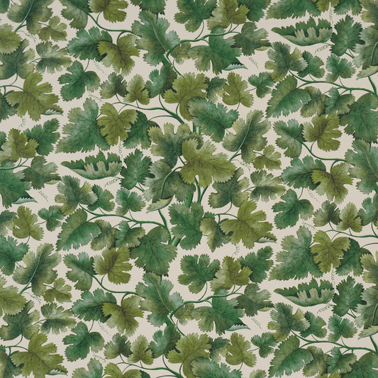 SCHUMACHER  A COUNTRY LIFE EDINBURGH VINE   Moss   - 5017730